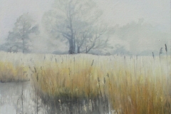 Winter-Reeds